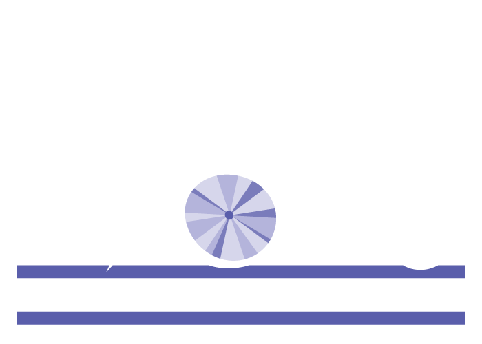 Racers for Pacers